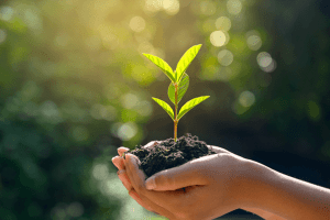 post innovation sustainability