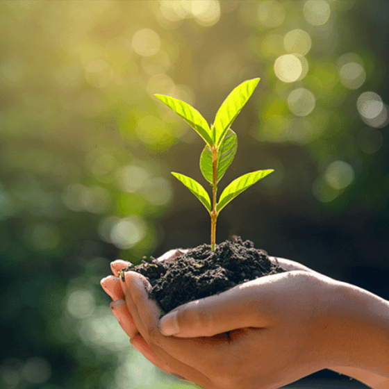 post innovation sustainability